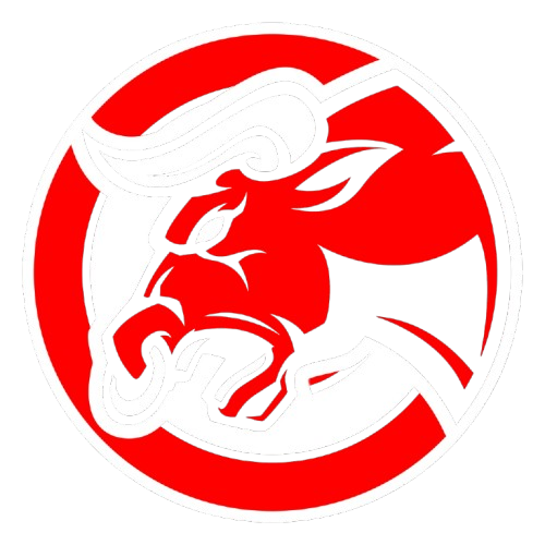 Bullseye Logo